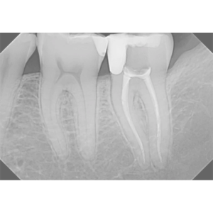 24_2048x.png?v=1705516269