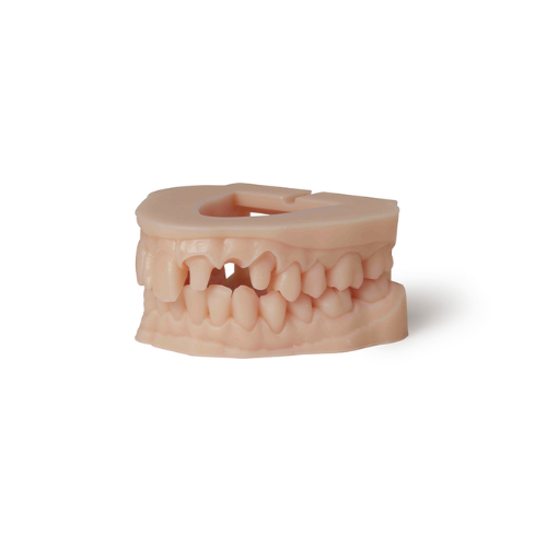 ALPHASENSE 3D Dental Model Resin – 500ml Bottle